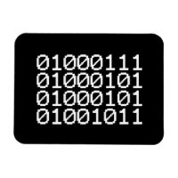 BINARY GEEK