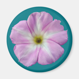 Bindweed #1 magnet