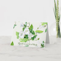 Bindweed white flower