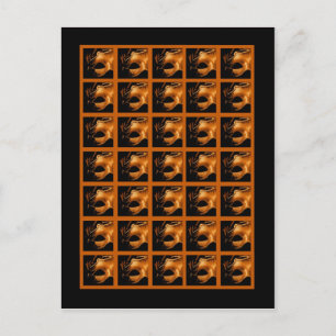 Bingo Card Markers Sweet 16 Orange Black