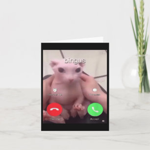 Bingus Is Calling Hairless Sphinx Cat Bingus Cat M Card