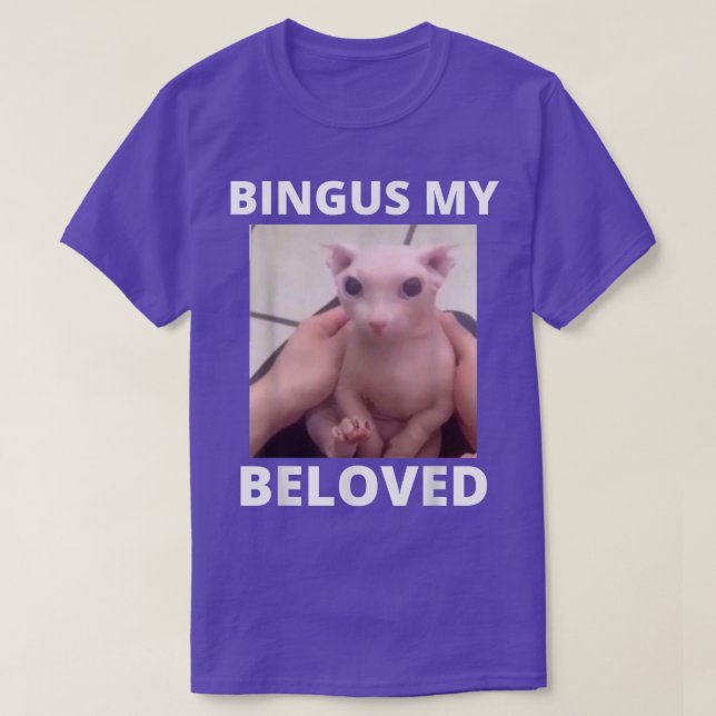 Bingus Is Calling My Beloved Hairless Sphin Sphyn  T-Shirt (Design Front)