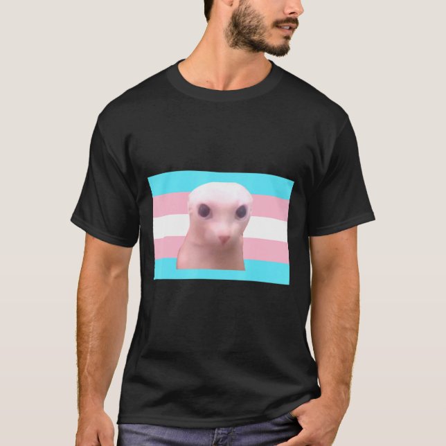 Bingus My Beloved Transexual Flag Hairless Sphinx  T-Shirt (Front)