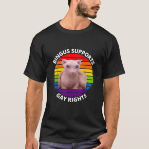 Bingus Supports Gay Rights Hairless Sphinx Bingus T-Shirt