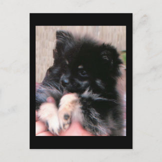 BINKIE POSTCARD