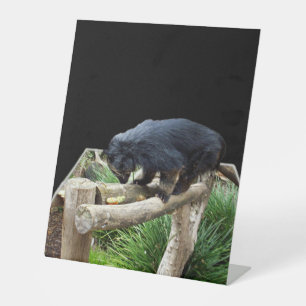 Binturong, (Bear Cat) Popout Art, Pedestal Sign