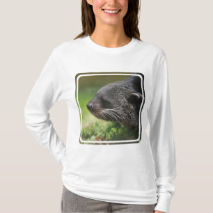 Binturong Bear Hoody