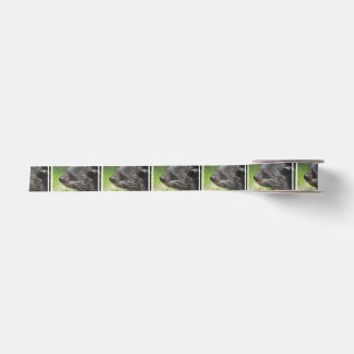 Binturong Satin Ribbon