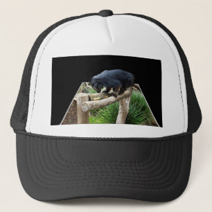 Binturong Standing On A Wooden Rail, Trucker Hat