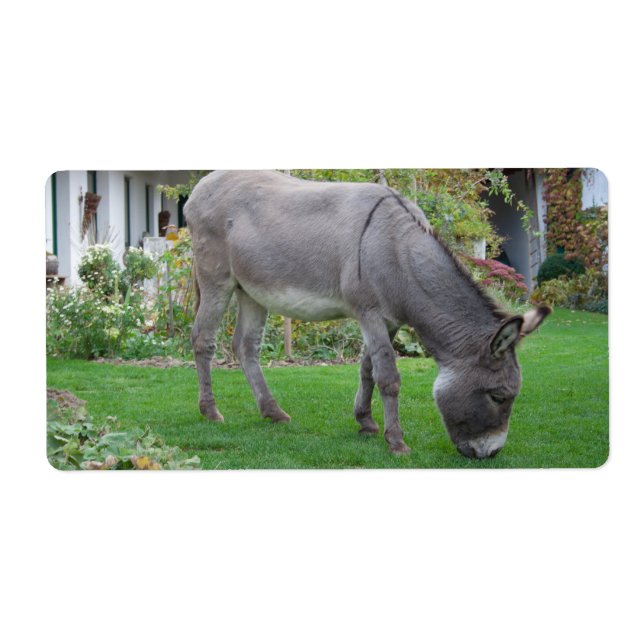 Biological Lawn-Mower On Four Hooves (Front)