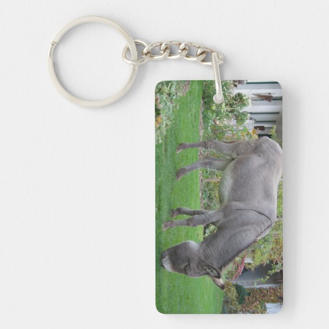 Biological Lawn-Mower On Four Hooves Key Ring (Front)