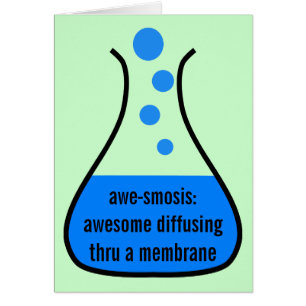 Biology & Chemistry: Teaching Science is Awesome