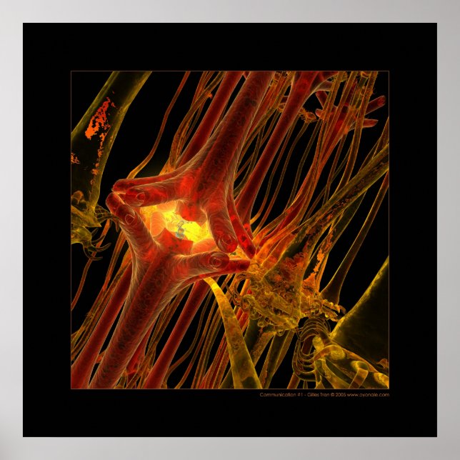 Biology: communication #1 poster (Front)