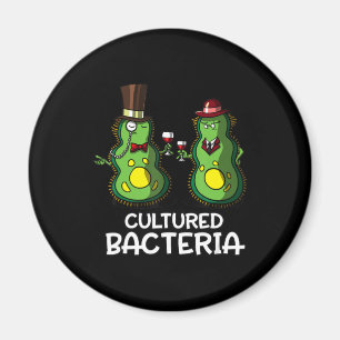 biology cultured bacteria funny student science magnet