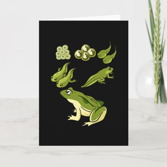 Biology - Frog Lifecycle Card (Front)
