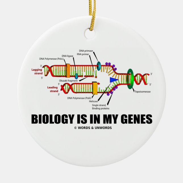 Biology Is In My Genes (DNA Replication) Ceramic Tree Decoration (Front)