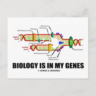Biology Is In My Genes (DNA Replication) Postcard
