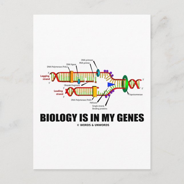 Biology Is In My Genes (DNA Replication) Postcard (Front)