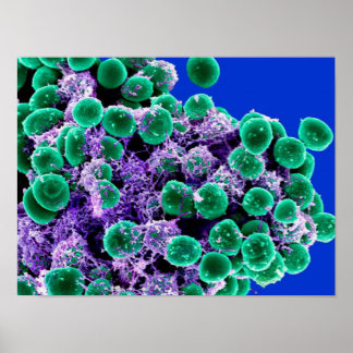 biology microbiology abstract art poster canvas