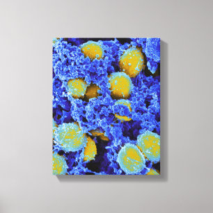 biology microbiology abstract art poster or canvas print