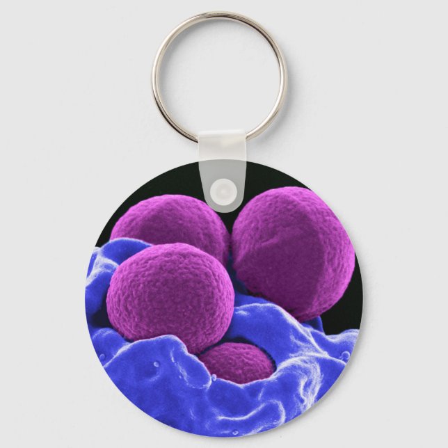 biology microbiology gift for students teachers key ring (Front)