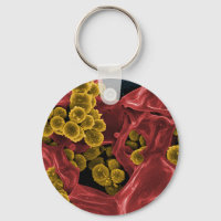 biology microbiology gifts for teachers students