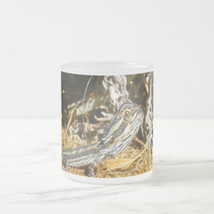 Biology Of A Baby Bearded Dragon Lizard, Frosted Glass Coffee Mug