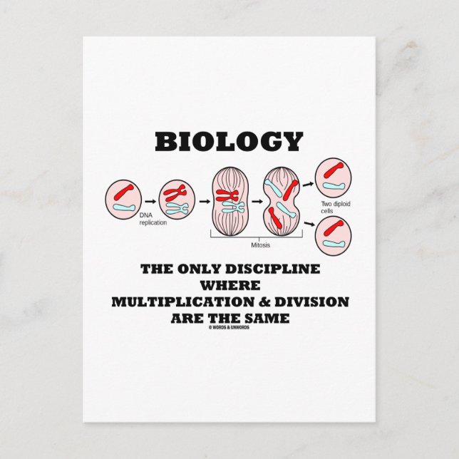 Biology Only Discipline Multiplication Division Postcard (Front)