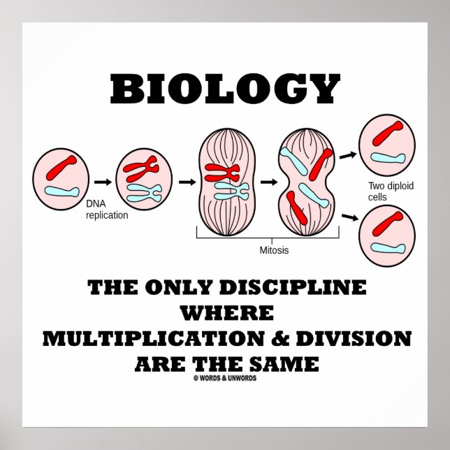 Biology Only Discipline Multiplication Division Poster (Front)