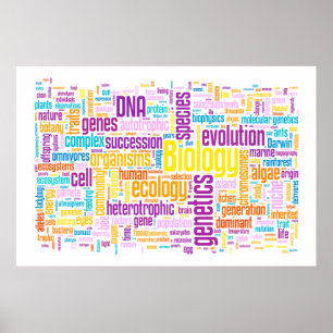 Biology Wordle No. 10 Sunrise Poster