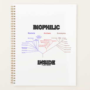 Biophilic Inside Phylogenetic Tree Of Life Biology Planner