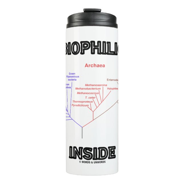 Biophilic Inside Phylogenetic Tree Of Life Biology Thermal Tumbler (Front)