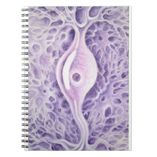 Bipolar neuron notebook