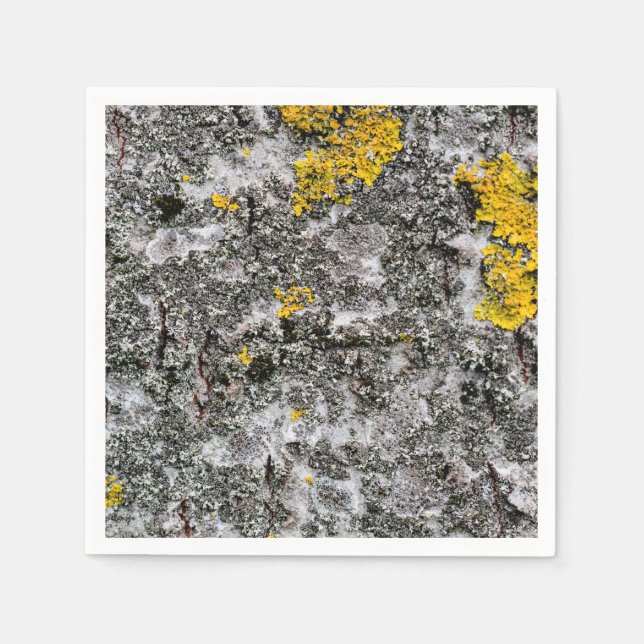 Birch and Lichen Napkin (Front)