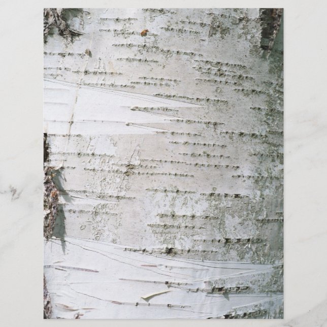 Birch bark (Front)