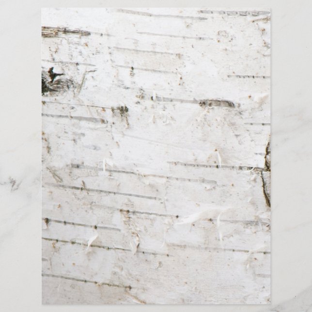 Birch bark (Front)
