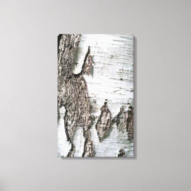 Birch bark canvas print (Front)