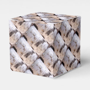 Birch Bark Favour Box