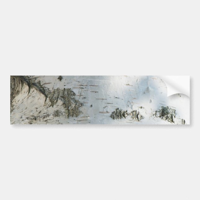 Birch bark pattern bumper sticker (Front)