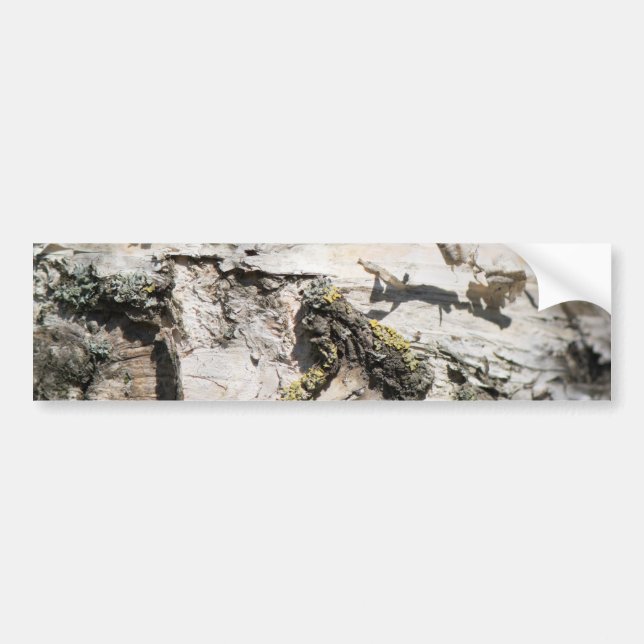 Birch bark pattern bumper sticker (Front)