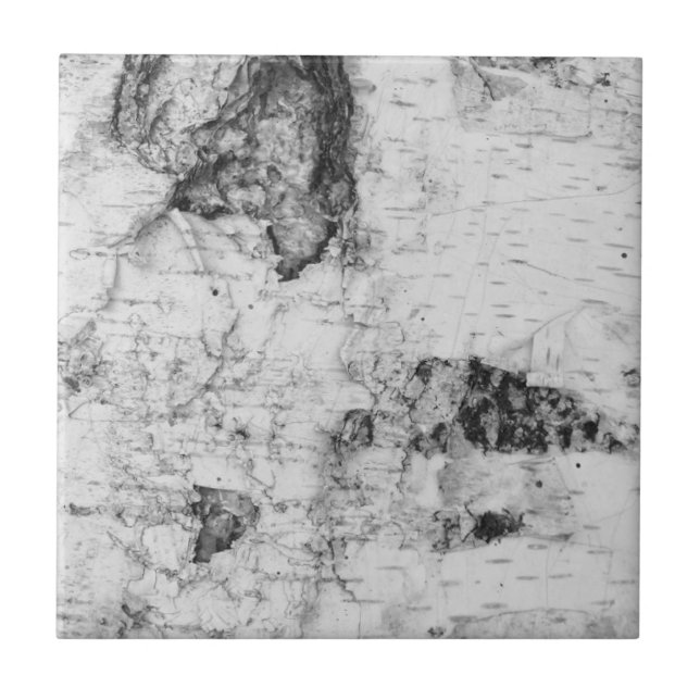 Birch bark pattern ceramic tile (Front)