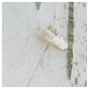 Birch bark pattern fabric