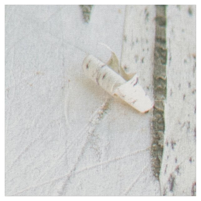 Birch bark pattern fabric (Close Up)