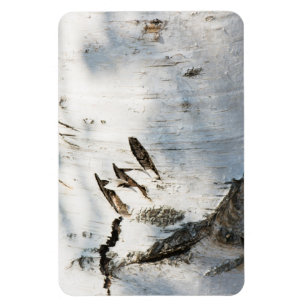 Birch bark pattern magnet