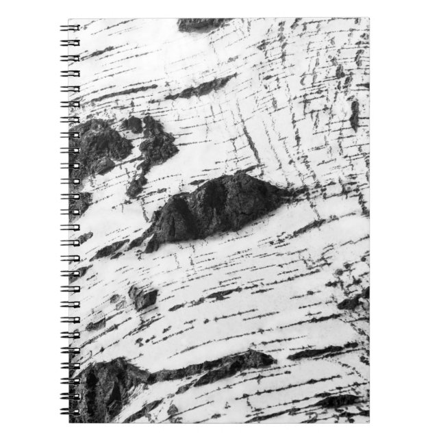 Birch bark pattern notebook (Front)