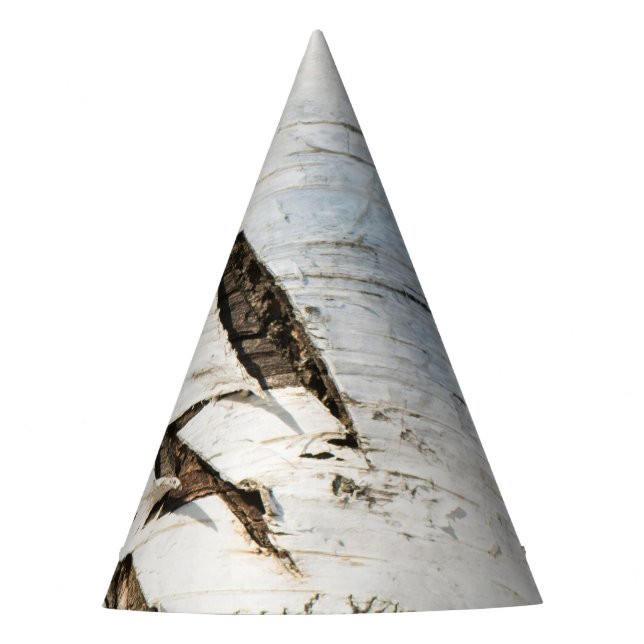 Birch bark pattern party hat (Front)