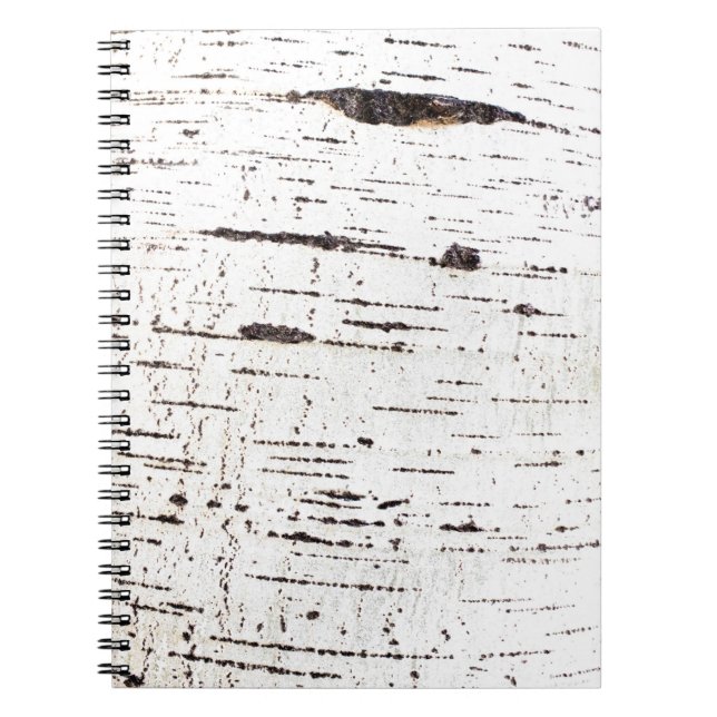 Birch bark pattern spiral notebook (Front)