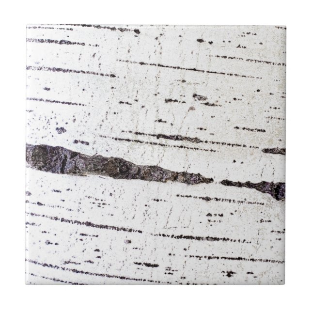 Birch bark pattern tile (Front)