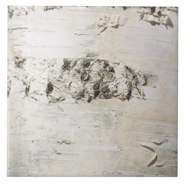 Birch bark pattern tile (Front)