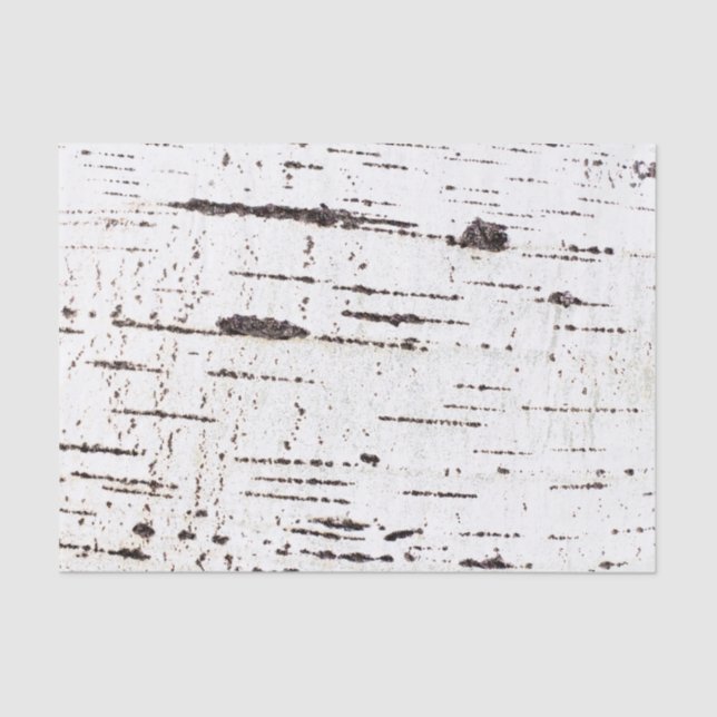 Birch bark pattern tissue paper (Front)